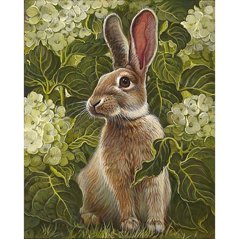 Rabbit In The Garden...