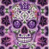 Purple Scull (50 x 50)