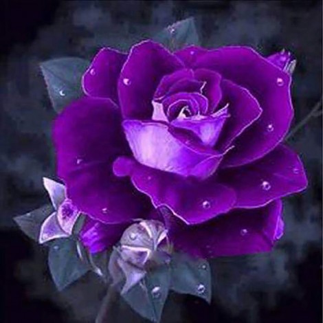 Purple Flower (50 x 50 actual picture size)