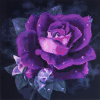 Purple Flower (50 x 50 actual picture size)