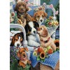 Puppy Love (50 x 70)