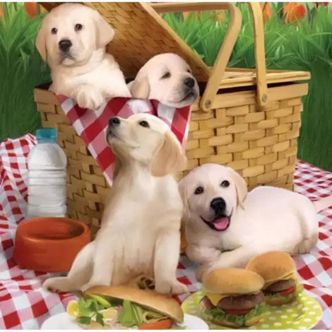Puppy Picnic 40 x 40 picture size
