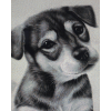 Puppy Drawing (40 x 50 actual picture size)