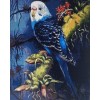 Pretty Polly (40 x 50)