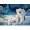 Polar Bears (50 x 70)