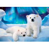 Polar Bears (50 x 70)