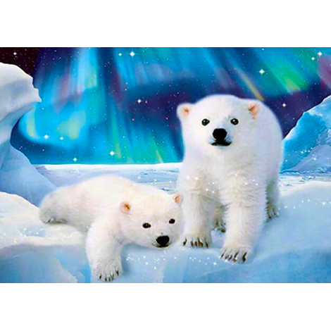 Polar Bears (50 x 70)