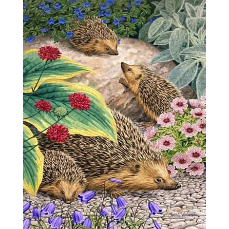 Playing Hedgehogs (40 x 50 actual picture size)