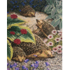 Playing Hedgehogs (40 x 50 actual picture size)