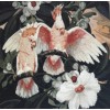 Pink Parrots (50 x 50)