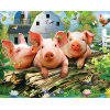 Pig Farm (40 x 50 actual picture size)