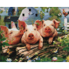 Pig Farm (40 x 50 actual picture size)