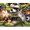 Pets Life (40 x 50 actual picture size)