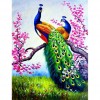 Peacocks 50 x 66 picture size