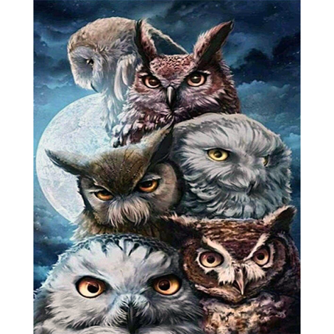 Owl Collection (40 x 50)