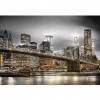New York Skyline (50 x 72 actual picture size)