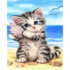 Kitten At The Beach (40 x 50 actual picture size)