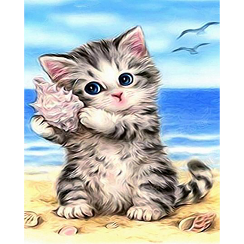Kitten At The Beach ...