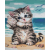 Kitten At The Beach (40 x 50 actual picture size)