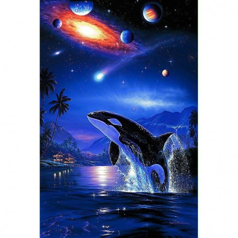 Killer Whale 2 48 x 64 picture size