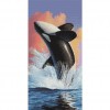 Killer Whale Playing 48 x 97 picture size
