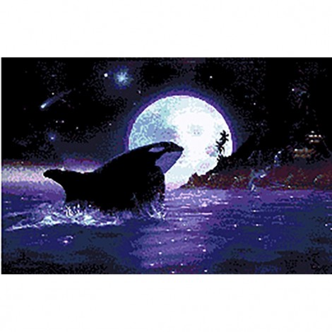 Killer Whale 73 x 48 Picture size