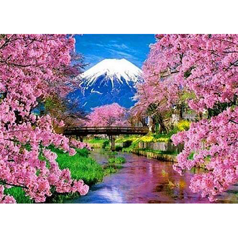 Japanese Mountain (50 x 70 actual picture size)
