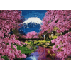 Japanese Mountain (50 x 70 actual picture size)