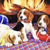 Its A Dogs Life (50 x 50)