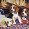 Its A Dogs Life (50 x 50)