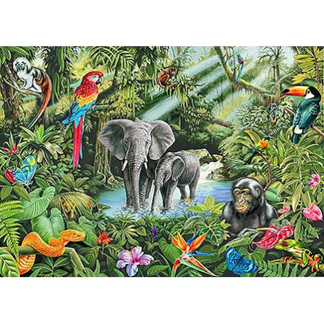 In The Jungle (50 x 70)
