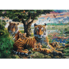 In The Wild (50 x 70 actual picture size)