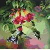 Humming Birds (50 x 50 actual picture size)