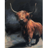 Highland Cow 10 (40 x 50 actual picture size)