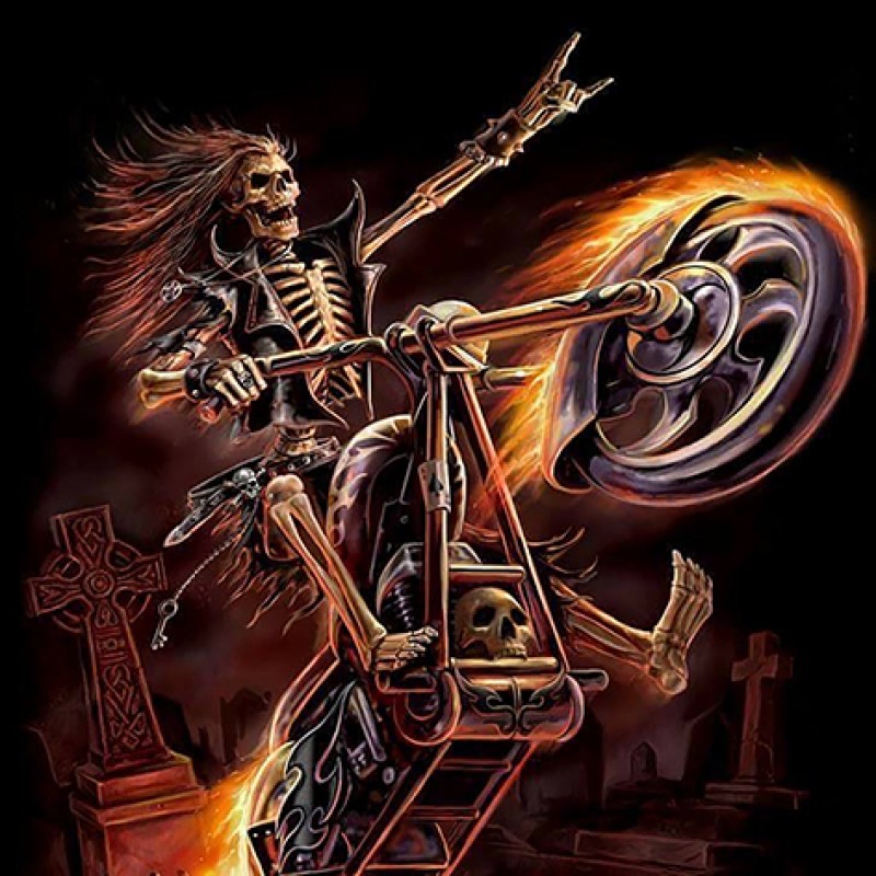 Hell Rider (50 x 50)