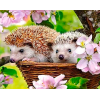 Hedgehog in a basket (40 x 50 actual picture size)
