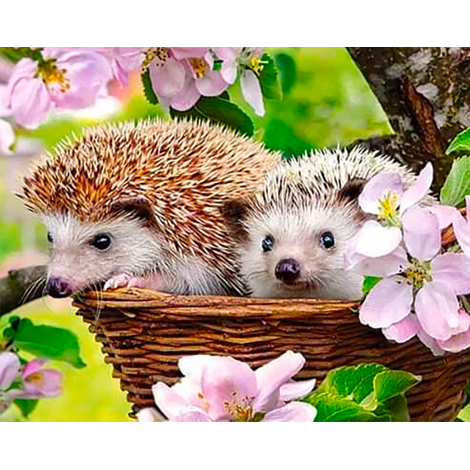 Hedgehog in a basket (40 x 50 actual picture size)