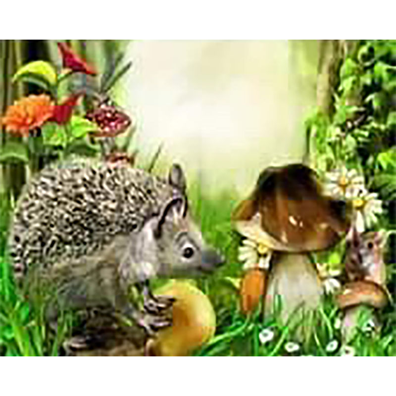 Hedgehog Resting (40...