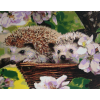 Hedgehog in a basket (40 x 50 actual picture size)