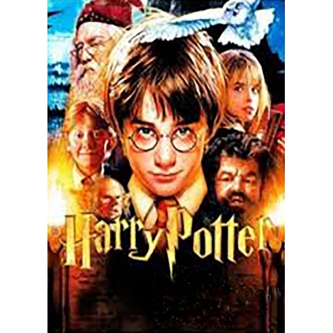 Harry Potter 1 (50 x 70)