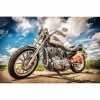 Harley Davidson (72 x 48)