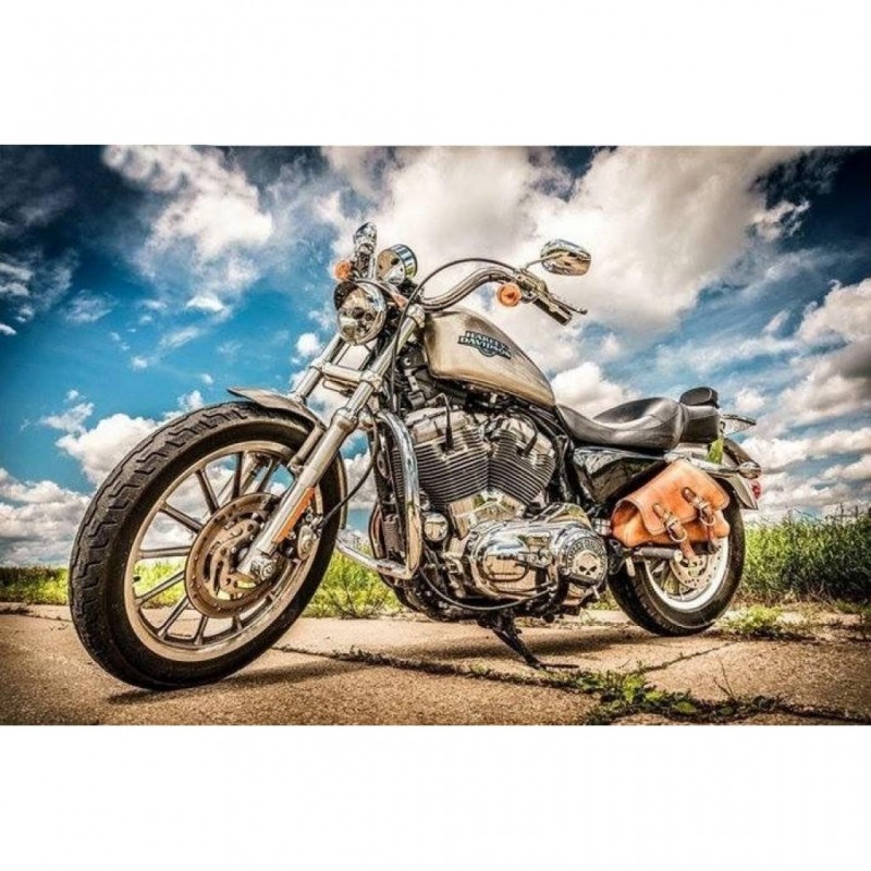 Harley Davidson (72 ...