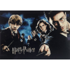 Harry Potter (50 x 70)
