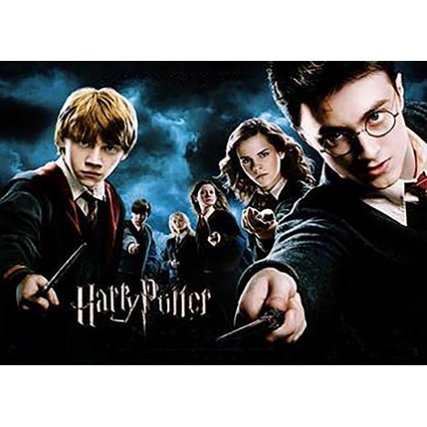 Harry Potter (50 x 70)