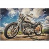 Harley Davidson (72 x 48)