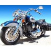 Harley 3 (40 x 50 actual picture size)