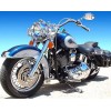 Harley 3 (40 x 50 actual picture size)
