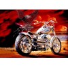Harley 2 (50 x 70 actual picture size)