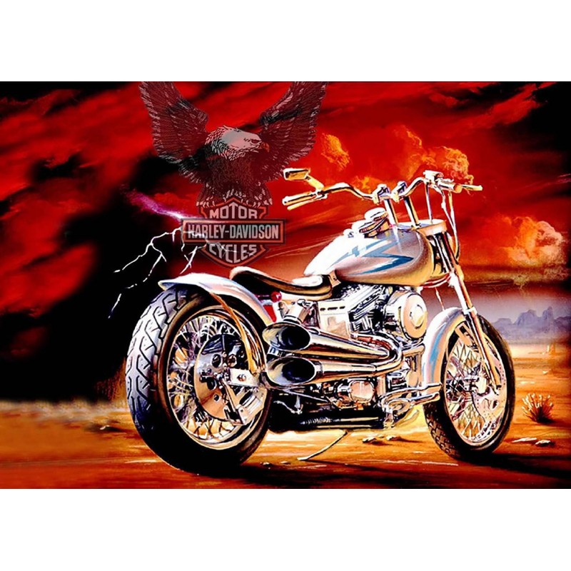 Harley 2 (50 x 70 ac...