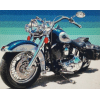Harley 3 (40 x 50 actual picture size)